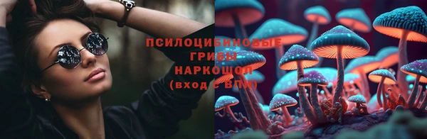 гашик Абинск