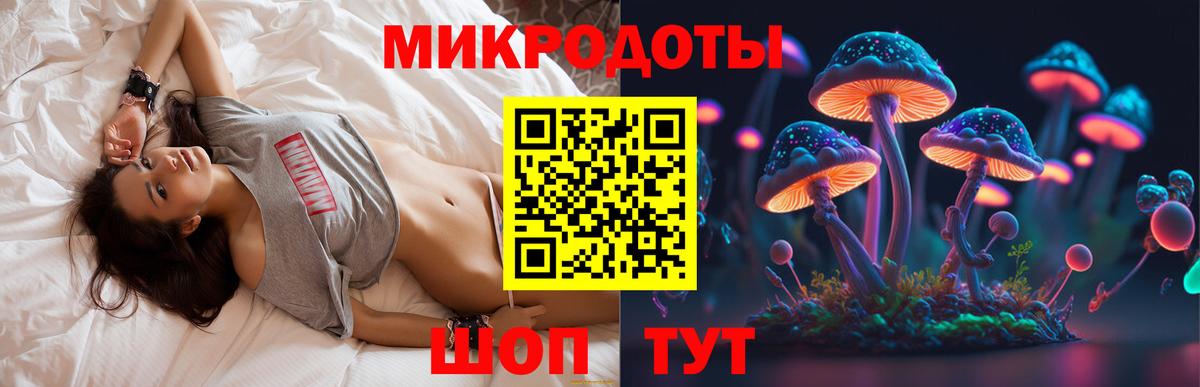 Псилоцибиновые грибы Magic Shrooms  хочу наркоту  Сертолово  Вход с VPN 